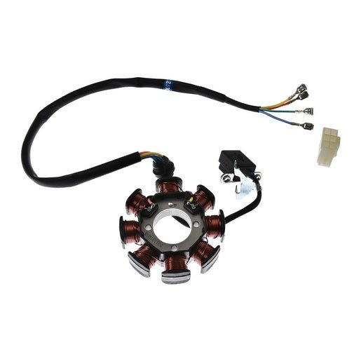 ESTATOR - DT200 SPORT, FT180, FT200, FT200 AM, FT250, FT250TS, RT180, FIERA250, FIERA200, BLACKBIRD, FT200TS - FERRETERÍA WITZI