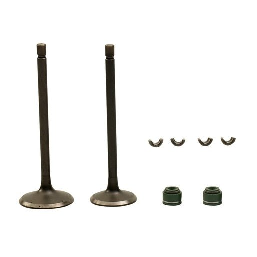 JUEGO VALVULAS MOTOR - DT200, FT200, FT200 AM, TC200, TC200 BLANCA, FIERA200, TC200NEGRA, DT200 SPORT, FT200TS - FERRETERÍA WITZI