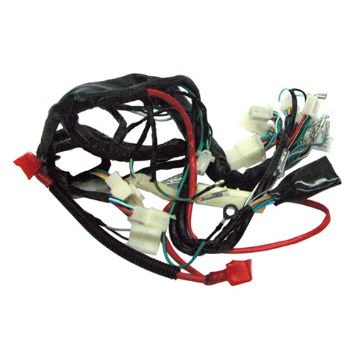 Arnés de alambrado completo para ITALIKA FT125 Rialli 3201-1007