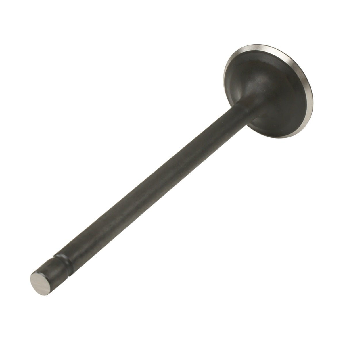 VALVULA DE ESCAPE, d=5.5, D=25, L=91.5 - FERRETERÍA WITZI